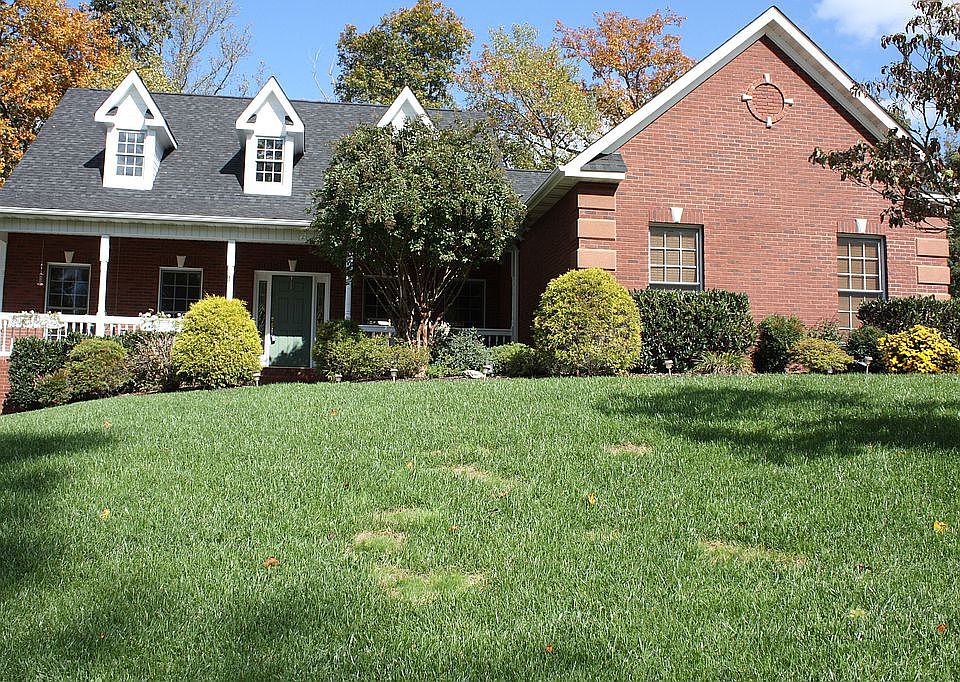 All Brick Basement Ranch