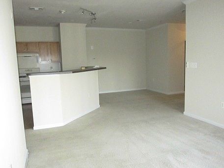 3rd image of 13329 Connor Dr APT F