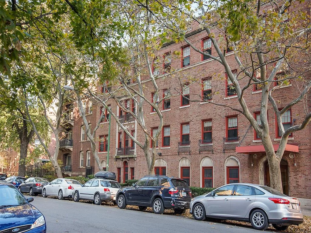 Ivy at Harper — Photo 2