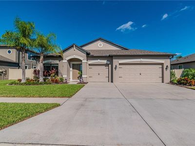 18651 Cortes Creek Blvd, Spring Hill, FL, 34610