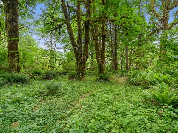 1000 W Trask River Rd, Tillamook, OR 97141