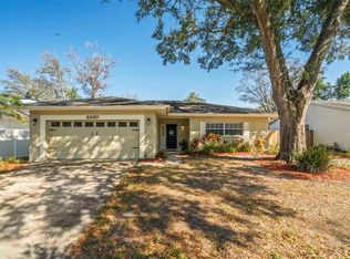 2397 E Orangehill Ave, Palm Harbor, FL 34683