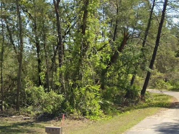 Fisher Ct Lot 39, Ocklawaha, FL 32179