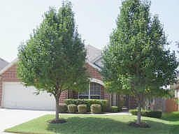 1st image of 1020 Shortleaf Pine Dr