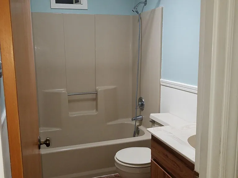 Hall bathroom