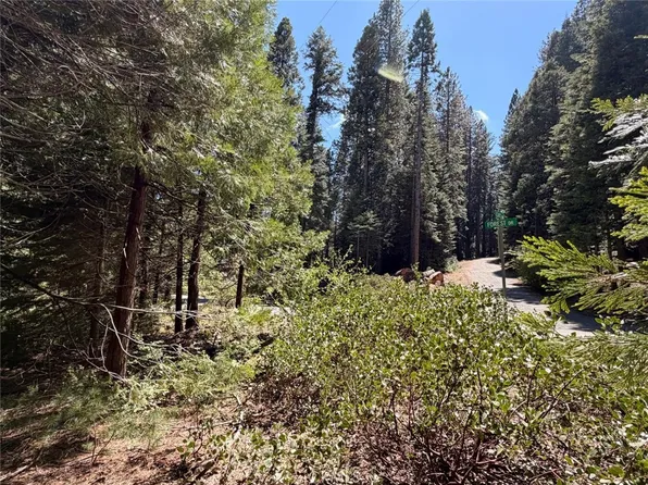 7631 Forest Dr Lot 31, Fish Camp, CA 93623