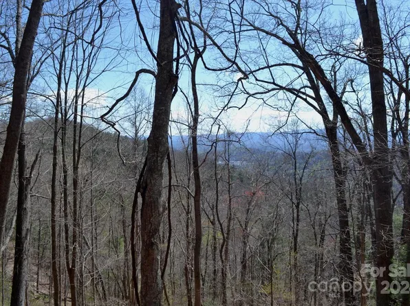 9 Town Mountain Rd, Asheville, NC 28804