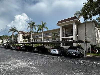 831 Maple Ct APT 208, Dunedin, FL, 34698