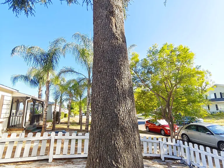 8816 Chimineas Ave — Photo 14