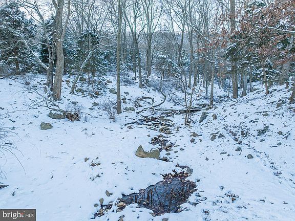 5th image of Cougar Ln