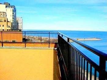 5th image of 1360 N Lakeshore APT 1605