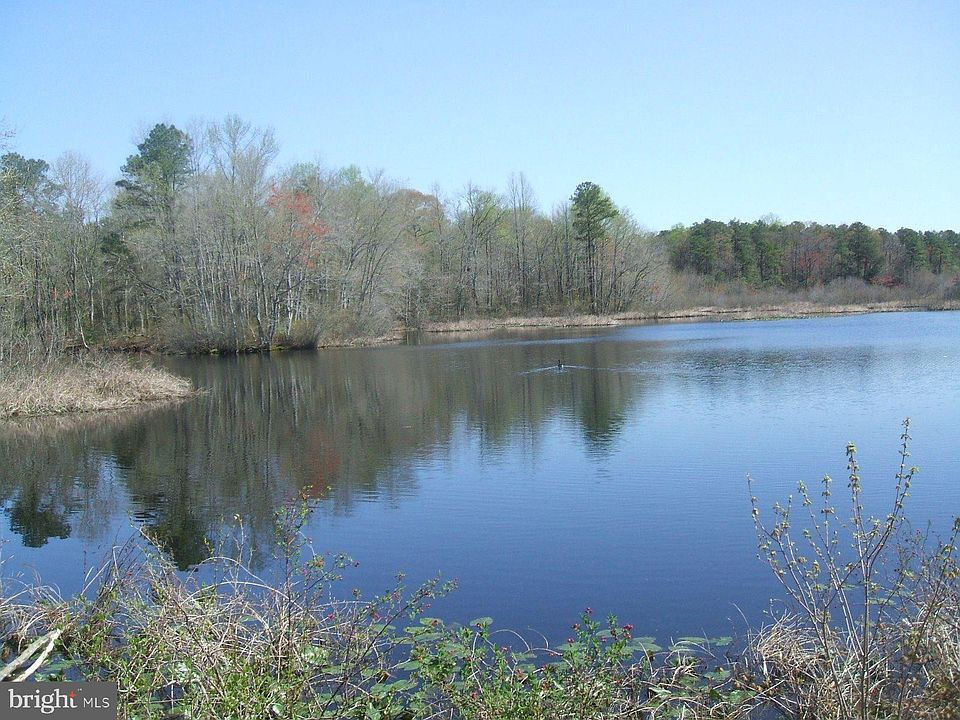 2nd image of 0 Williams Mill Pond Rd