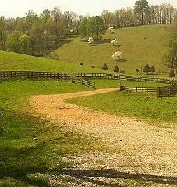 2nd image of 17136 Columbia Hwy