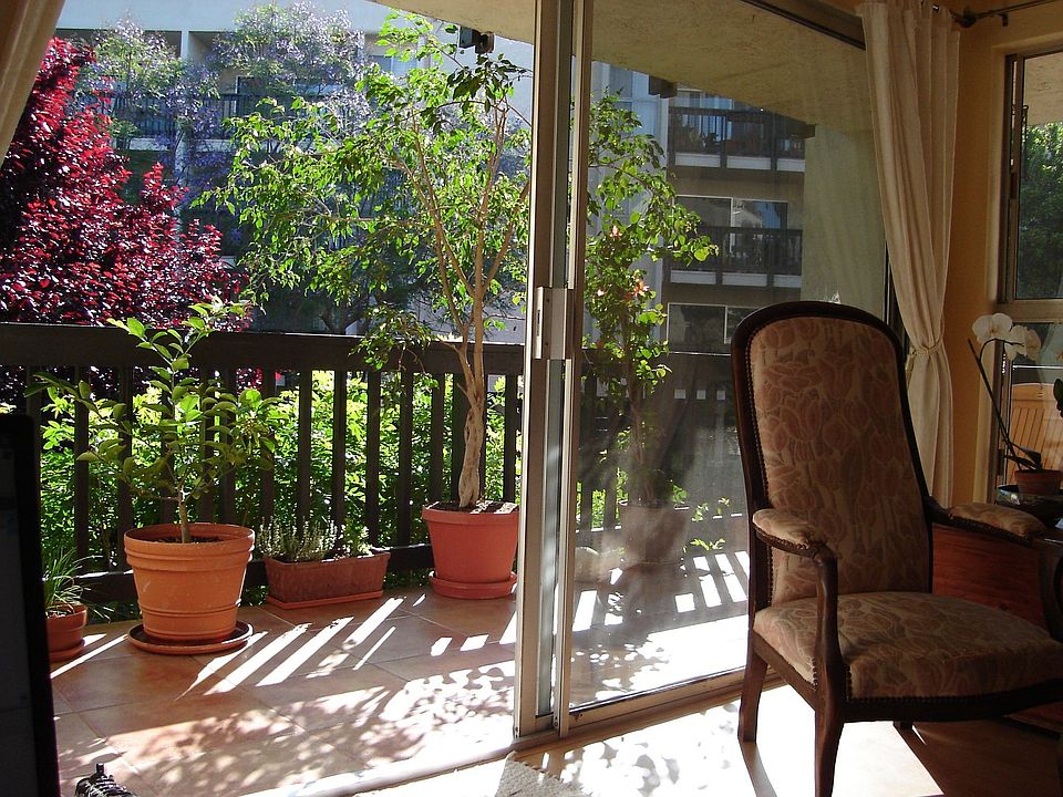 View from Living Room