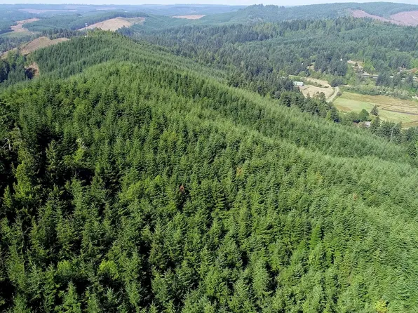 Beaver Creek Rd, Coquille, OR 97423