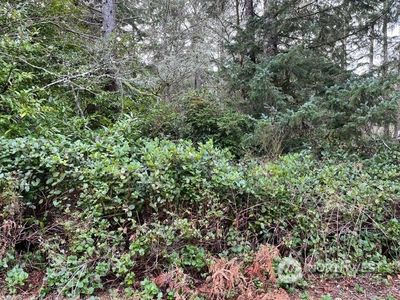 409 Draconis Avenue SE, Ocean Shores, WA, 98569