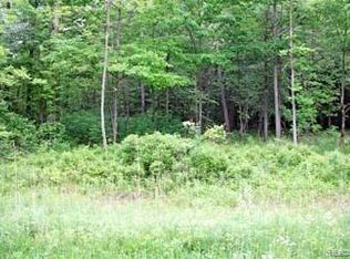 LOT 6 Stagecoach Trl, Pigeon, MI 48755