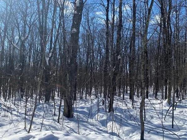 Lots 49 & 50 Hardwood Court, Cable, WI 54821