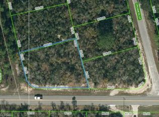 201 Moon Glow Ct, Lake Placid, FL 33852