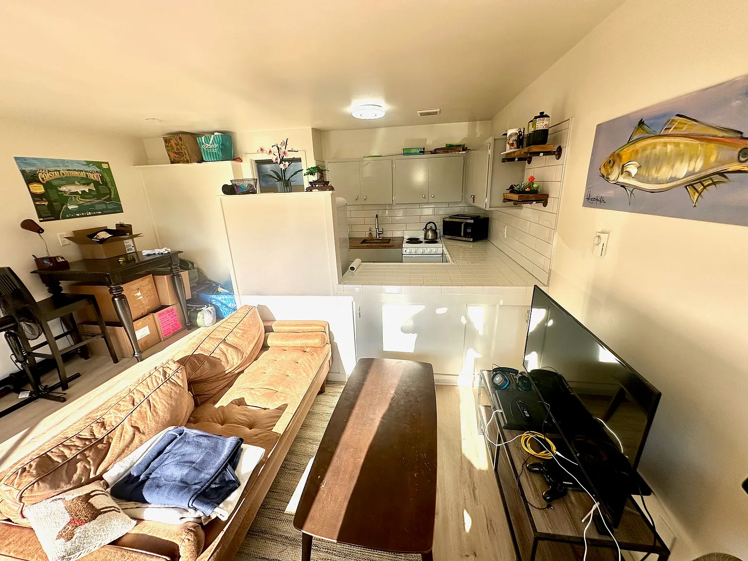 1 bed, 450 sqft, $1,350 — Photo 2