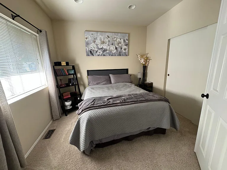 Downstairs Guest Bedroom