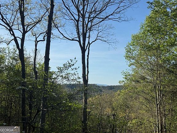 4th image of 1600 My Mountain Rd