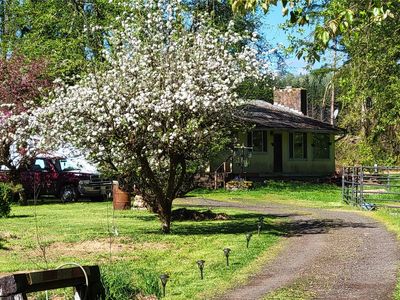 125 Hale Road E, Evaline, WA, 98596