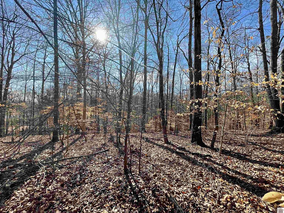 0 Woodfield Estate Dr, Cadiz, KY 42211 MLS 120554 Zillow