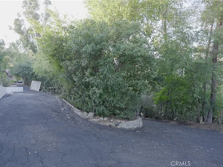 2600 Topanga Skyline Dr — Photo 11