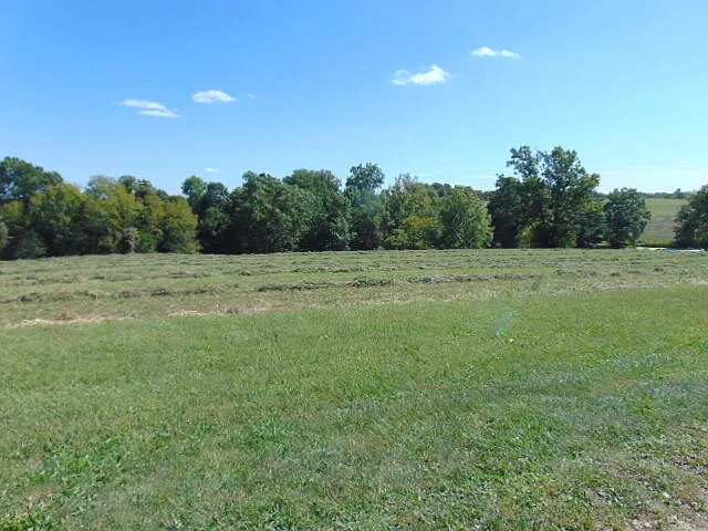15 Evanwood Dr photo 1