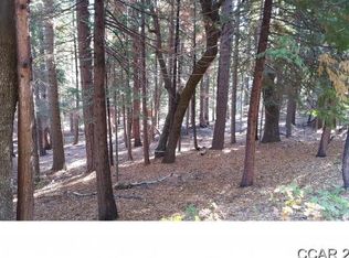 2560 Cheyenne Way, Arnold, CA 95223