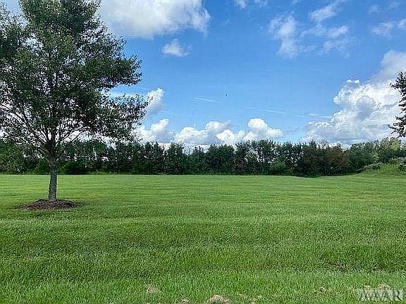 4th image of 143 Quarter Horse Loop LOT 143