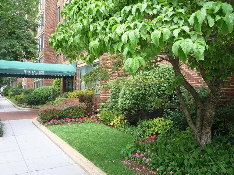 Lauren luxury building is within walking distance from trendy restaurants, stylish galleries, multiple stores, and many other activities.