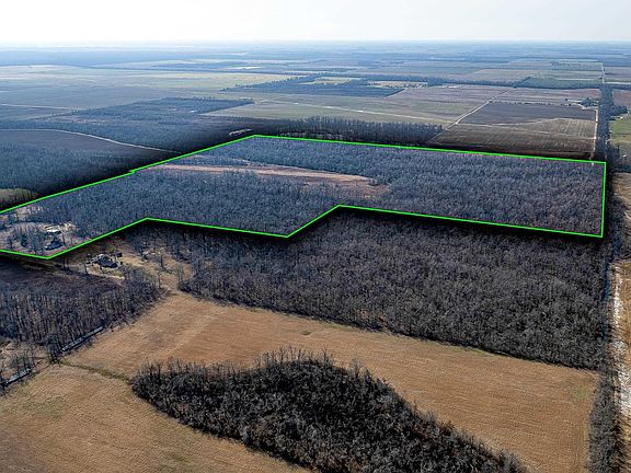 4th image of 377 McPherson Rd