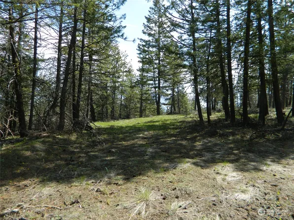 1111 TBD Turtle Lake Road, Tonasket, WA 98855