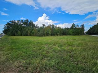 6193 Bloomville Rd, Manning, SC 29102