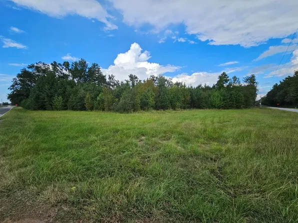 6193 Bloomville Rd, Manning, SC 29102