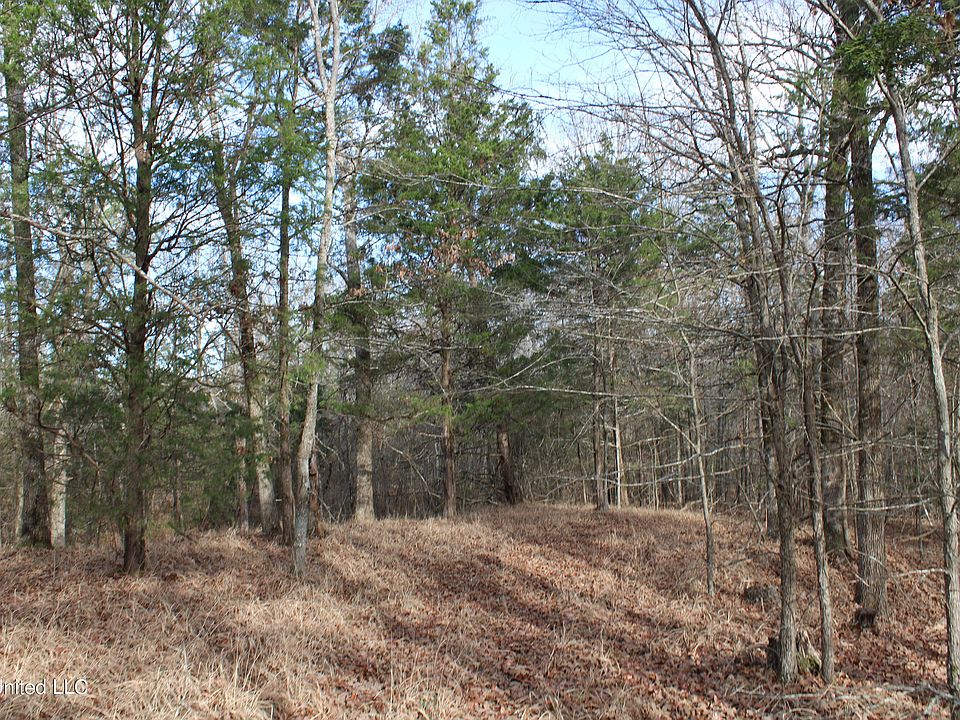 1st image of 81 Cross Creek Cv #81