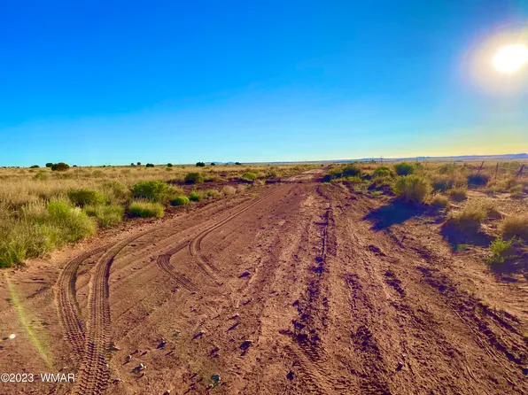 8309 Terry Trl, Snowflake, AZ 85937