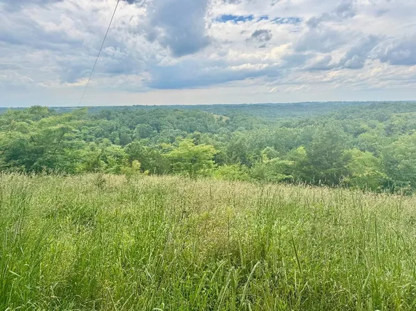 27.28 Acre Hwy #467, De Mossville, KY 41033