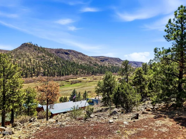 2 COUNTY ROAD 1013 -- #12, Greer, AZ 85927