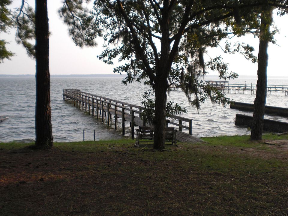 view from the sunroom