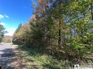 Prill Rd #1, East Otto, NY 14729