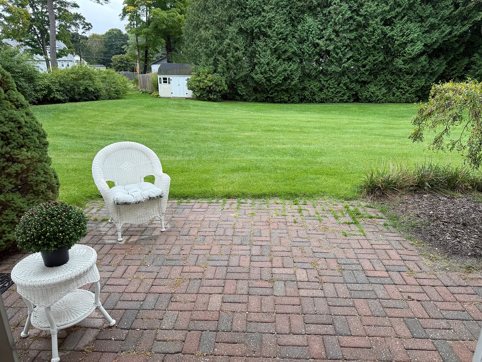 1 bed, 600 sqft, $1,500 — Photo 2