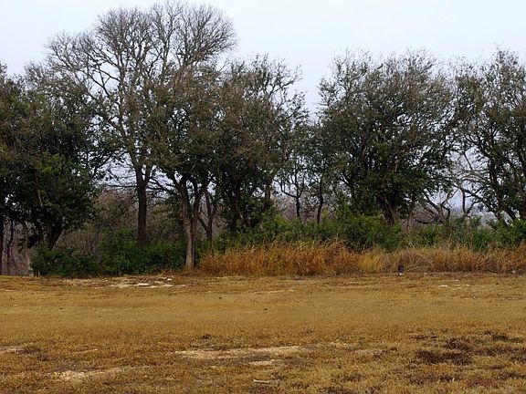 5th image of 1317 Gruene Leaf Dr