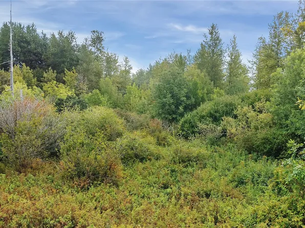 0 Old Wentzel Slough Road, Elma, WA 98541