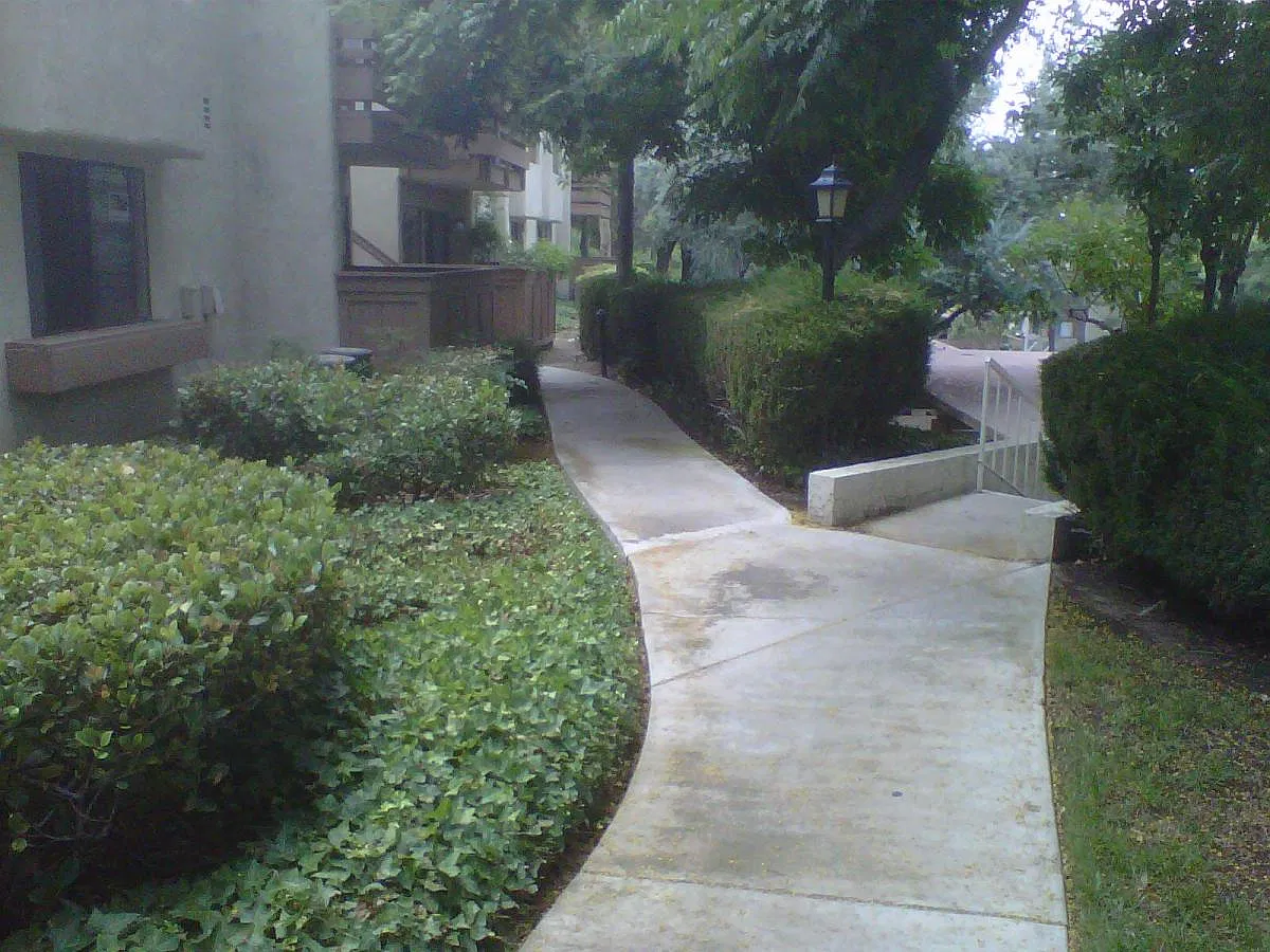 2 bed, 975 sqft, $2,600 — Photo 4