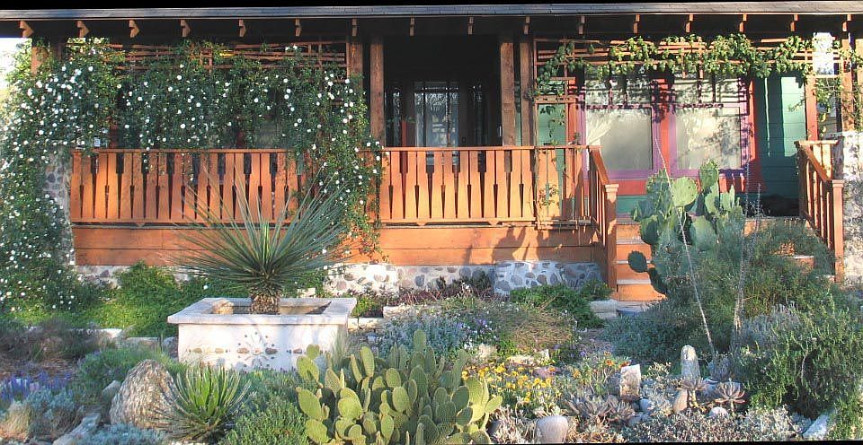 Front garden 