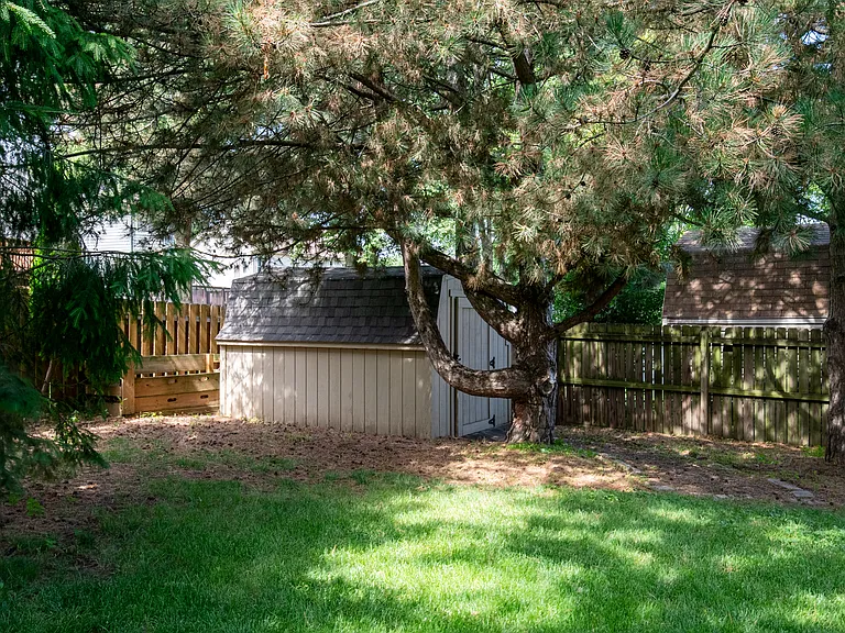 Shed
