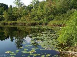 4555 S Ordway Rd, Custer, MI 49405